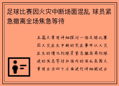 足球比赛因火灾中断场面混乱 球员紧急撤离全场焦急等待