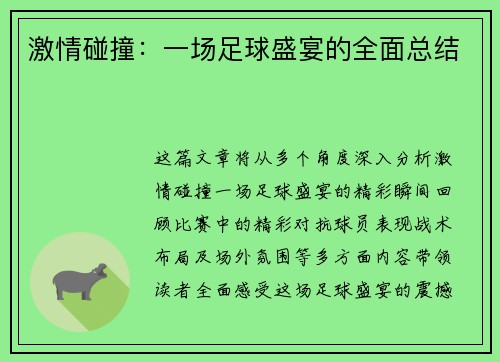 激情碰撞：一场足球盛宴的全面总结