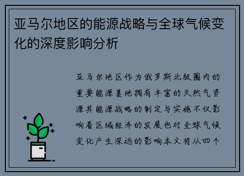 亚马尔地区的能源战略与全球气候变化的深度影响分析