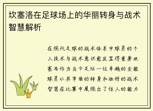 坎塞洛在足球场上的华丽转身与战术智慧解析