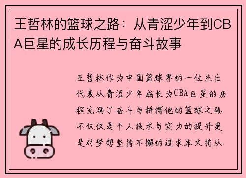 王哲林的篮球之路：从青涩少年到CBA巨星的成长历程与奋斗故事