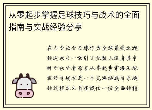 从零起步掌握足球技巧与战术的全面指南与实战经验分享