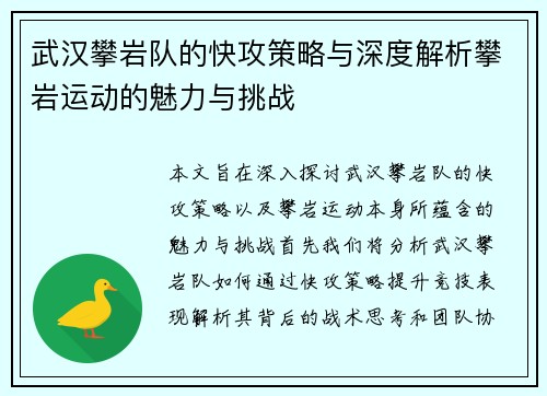 武汉攀岩队的快攻策略与深度解析攀岩运动的魅力与挑战